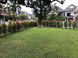 Hock Swee Hill (D28), Semi-Detached #170251232